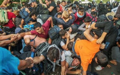 Výstava Czech Press Photo 2015