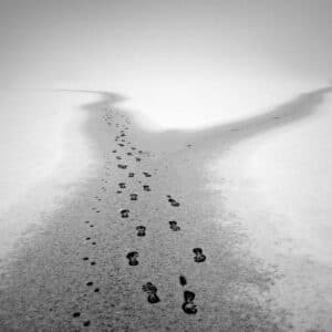 KURZ PŘÍŠTÍCH VÍTĚZŮ (úterý)